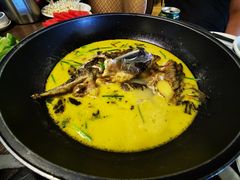 黄焖鲟龙鱼-醉美东江·三文鱼·烧鸡公