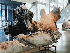 -上海当代艺术博物馆