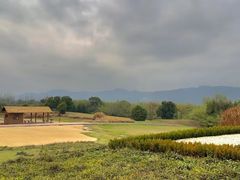 -良渚古城遗址公园