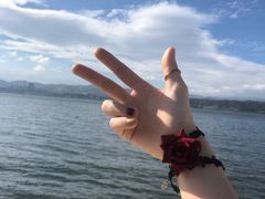 -大理洱海