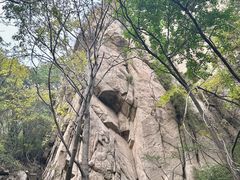 -大岭沟猕猴桃谷风景区