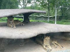 -北京野生动物园