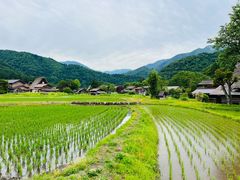 -白川乡与五箇山的合掌构造村落