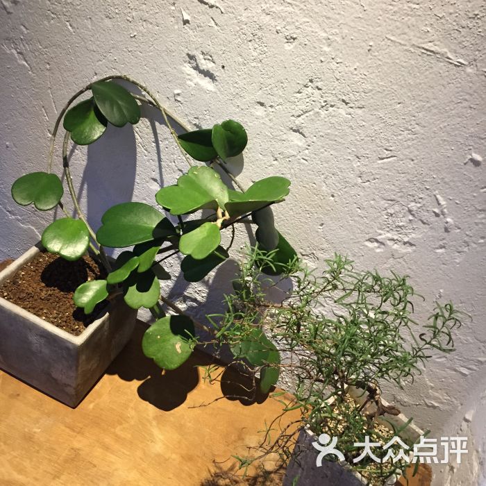 山舍咖啡(the sunsite cafe)图片 - 第5张