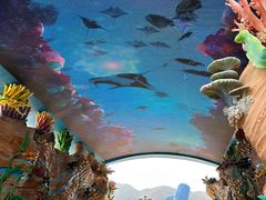 -珠海长隆海洋王国