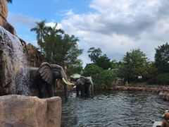 -美的鹭湖探索王国