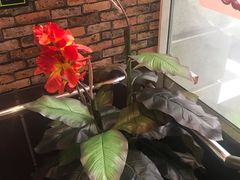 -合利屋(三元桥店)