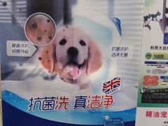 -北京观赏动物医院·24小时大型综合·猫专科·异宠专科