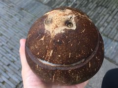 -志龙皇冠吃货椰子铺