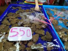 琵琶虾-兰坡海鲜市场