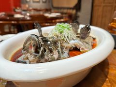 -龙悦湾酒家·八阵鱼生·渔人码头店
