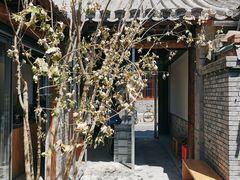 -VOYAGE COFFEE(杨梅竹店)
