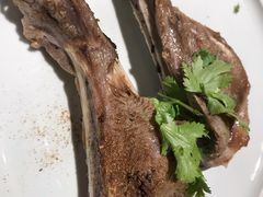 扇子骨-大唐高老庄(红旗路店)