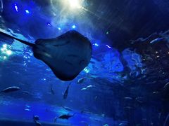 -华夏文旅海洋公园