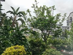 -乌山风景区