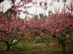 -金堂县云顶石城风景区