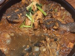 -老板恋上鱼(恒隆广场店)