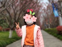 -高东镇樱花园