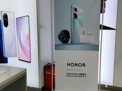 -荣耀授权专卖店(黄浦浙江中路店)