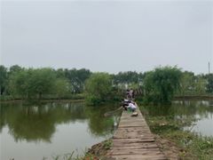 -同銮特种养殖场·龙虾垂钓
