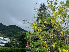 -广州市石门国家森林公园