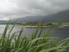 -腾冲北海湿地