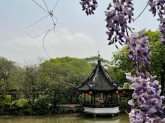 -上海醉白池公园