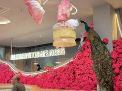 -花菇朵 ll 野生菌火锅·精品云南菜(后沙峪店)