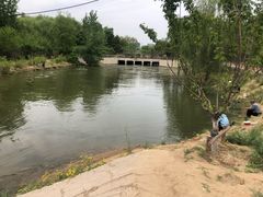 -大兴滨河森林公园