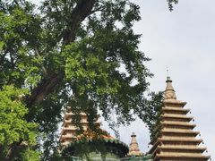 -北京石刻艺术博物馆(五塔寺)