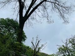 -野三坡清泉山风景区