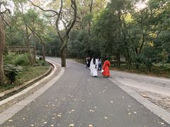 -灵谷景区