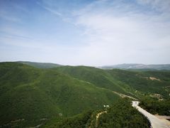 -铜川市金锁关石林