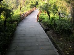 -铁山坪森林公园