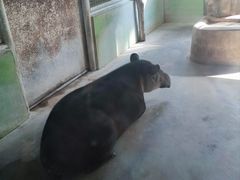 -石家庄市动物园