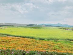 -光明小镇欢乐田园