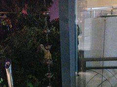 -蘇河湾·新鲁菜·泰山宴(泰山店)