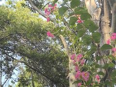 -青龙山国家森林公园