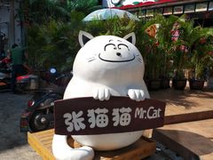 -张猫猫爱吃鱼