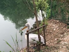 -长兴太湖图影湿地文化园
