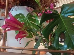 -漢舍川菜馆(国贸商城店)