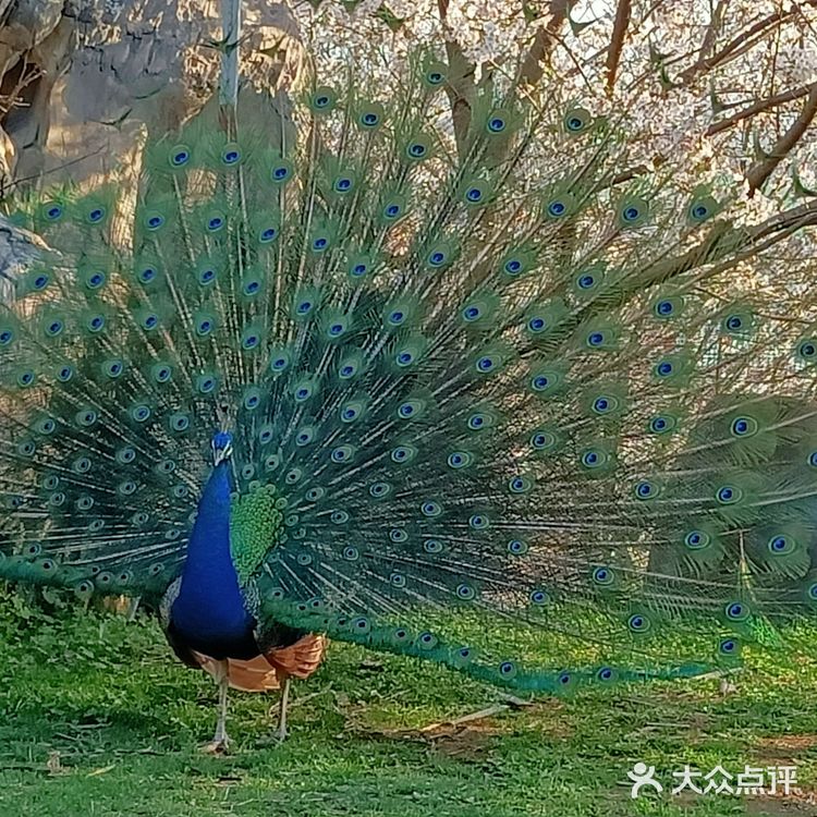 趁着蓝天去就对了
