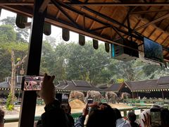 -野象谷景区