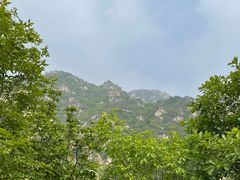 -大岭沟猕猴桃谷风景区