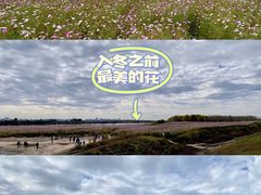 -哈尔滨大剧院