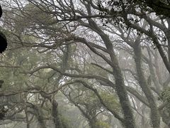 -普陀山风景名胜区-法雨禅寺