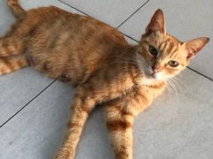 -同济大学(嘉定校区)