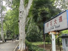-武汉大学-樱园