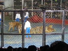 -西安秦岭野生动物园