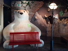 -济州岛泰迪熊博物馆